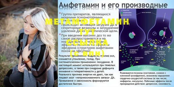 гидра Абаза