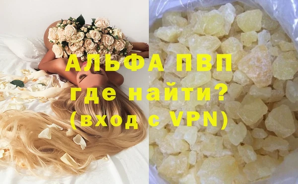 гидра Абаза