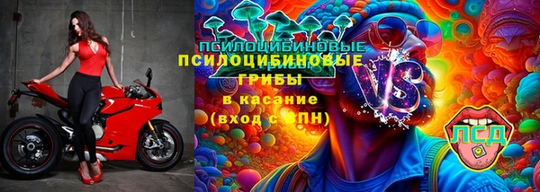 гидра Абаза